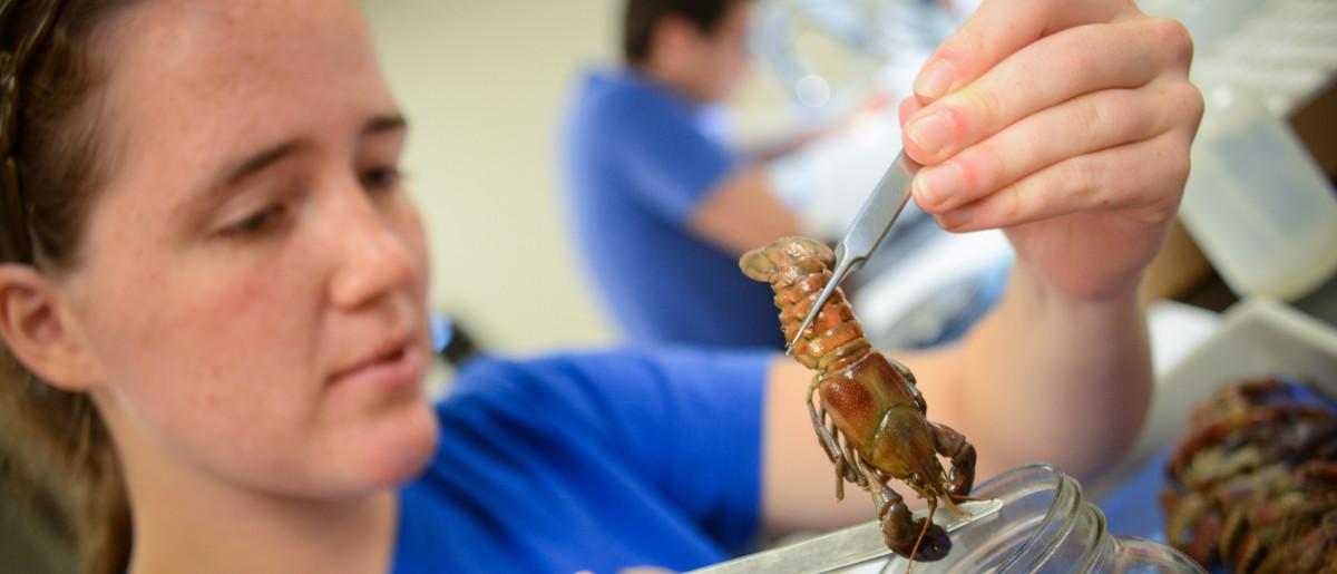 Center for Environmental Education and Research