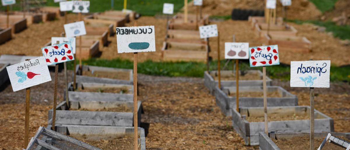 Campus Garden